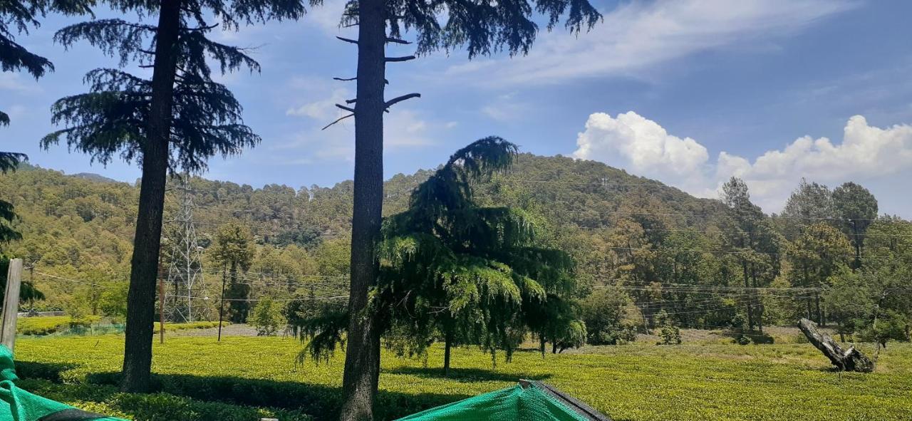 Hotel Goludev Valley View Naini Tāl Exterior foto